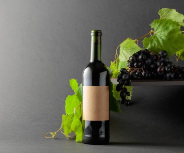 Mavi üzümlü bir şişe kırmızı şarap ve üzüm dalları. Boşluğu kopyala.