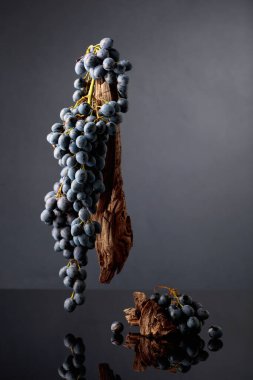 Siyah yansıtıcı arka planda mavi üzümler ve yıpranmış pürüzler. Boşluğu kopyala.