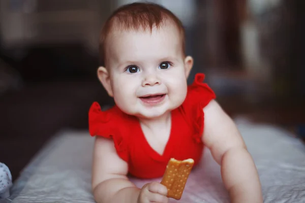Мила Дитина Червоній Сукні Пухкими Щоками Сидить Підлозі Їсть Печиво — стокове фото