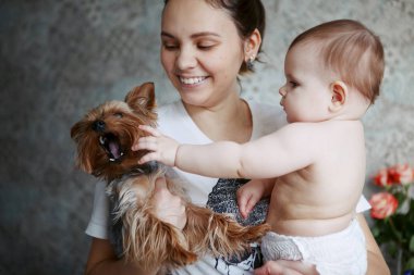 Yorkshire köpek ve gülümseyen ve bebeğe bakarak yürümeye başlayan çocuk ile güzel genç anne