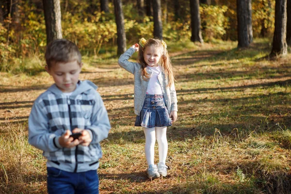 Broer Zus Herfst Bos Een Jongen Een Plaid Shirt Werkt — Stockfoto