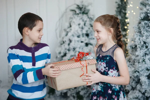 Fratello Sorella Danno Una Scatola Regalo Vicino All Albero Natale — Foto Stock