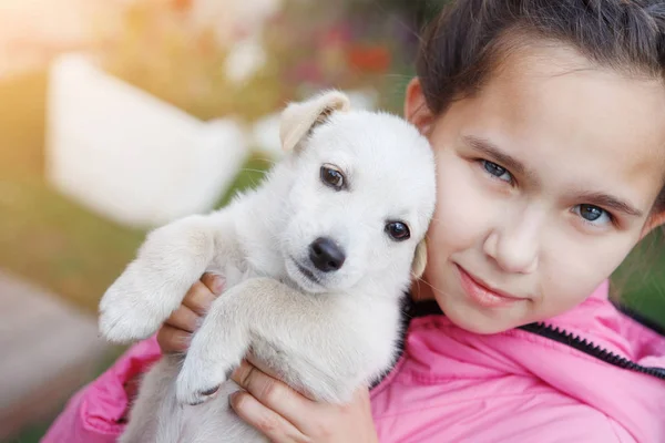 Menina Com Tranças Uma Jaqueta Rosa Abraços Beijos Cachorro Branco — Fotografia de Stock