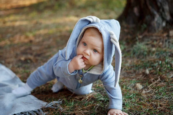 秋の森で格子縞のウサギのスーツに青い目と生後 ヶ月赤ちゃん男の子 — ストック写真