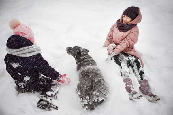Matka Córka Retweaver Labrador Czarne Białym Śniegu Lesie Zimą — Zdjęcie stockowe