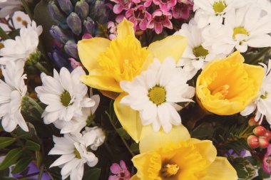 Arka plan, seçici odak olarak güzel renkli çiçekler