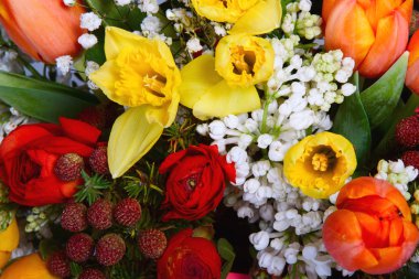 Arka plan, seçici odak olarak güzel renkli çiçekler