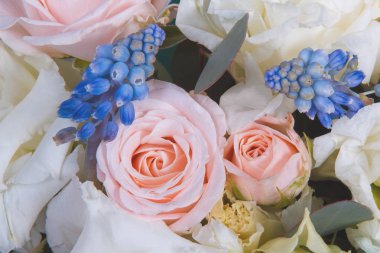 Arka plan, seçici odak olarak güzel renkli çiçekler