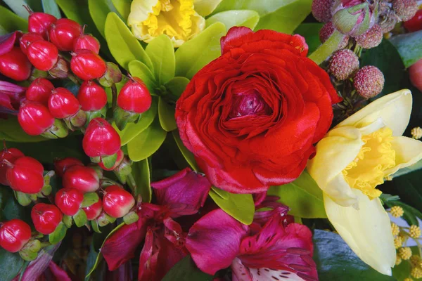 Όμορφη Πολύχρωμα Λουλούδια Φόντο Επιλεκτική Εστίαση — Φωτογραφία Αρχείου