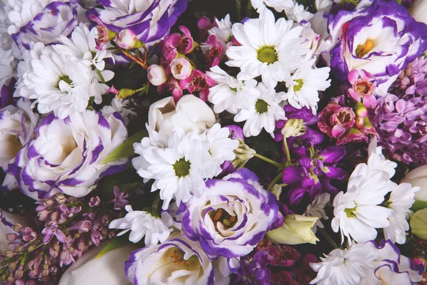 Красиві Барвисті Квіти Фон Вибірковий Фокус — стокове фото