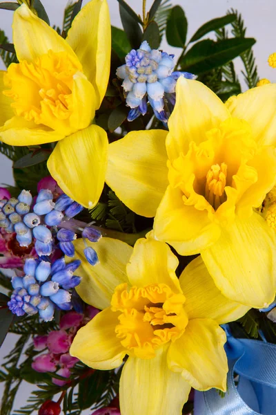 Lindas Flores Coloridas Como Fundo Foco Seletivo — Fotografia de Stock