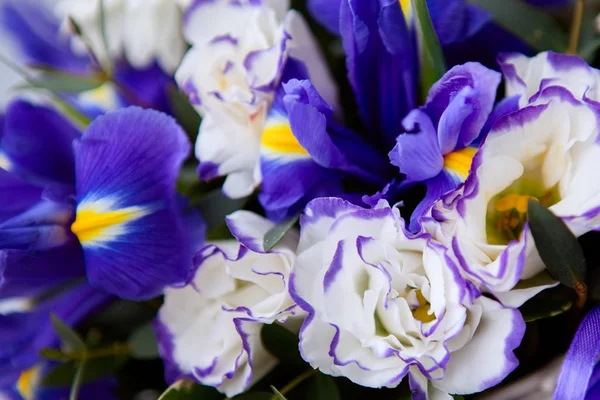 Piękne Kolorowe Kwiaty Jako Tło Selektywny Fokus — Zdjęcie stockowe