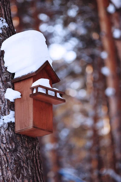 Birdhouse Covered Snow Hanging Tree Soft Focus — Stock Photo, Image