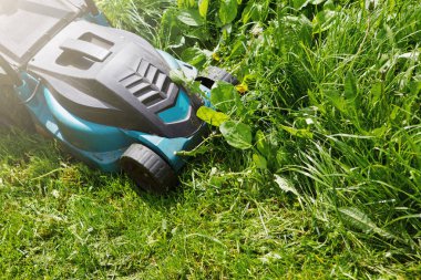 Yeşil çim elektrikli çim biçme makinesi, seçici odak kesme