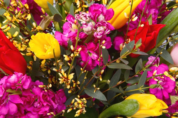 Красиві Барвисті Квіти Фон Вибірковий Фокус — стокове фото