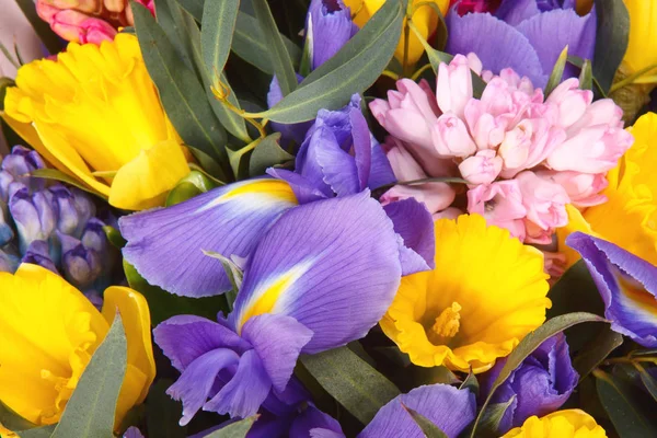 Lindas Flores Coloridas Como Fundo Foco Seletivo — Fotografia de Stock