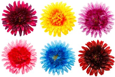 renkli çiçek kümesi.