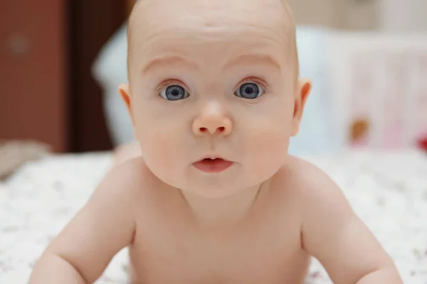 Hermosa Bebé Cinco Meses Ojos Azules Niña Acostada Sobre Estómago —  Fotos de Stock