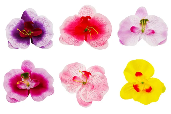 Conjunto de flores coloridas . — Fotografia de Stock