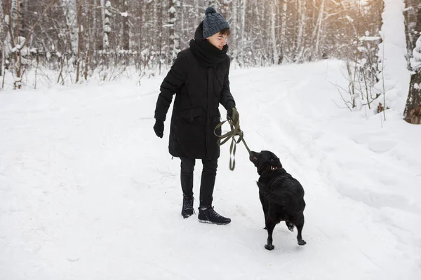 Kış ormanında onun siyah labrador retriever ile Adam eğlenceli.