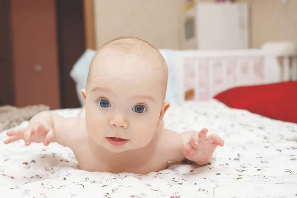 Hermosa Bebé Cinco Meses Ojos Azules Niña Acostada Sobre Estómago —  Fotos de Stock