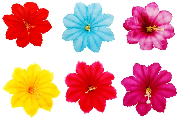 Набір барвистих квітів . — стокове фото