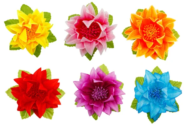 Набір барвистих квітів . — стокове фото