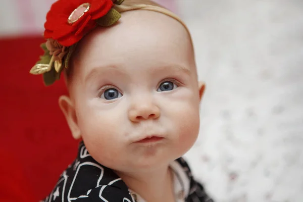 美丽的五个月的幼儿女孩与她的头上的花礼服在一个红色的背景 产妇护理 — 图库照片