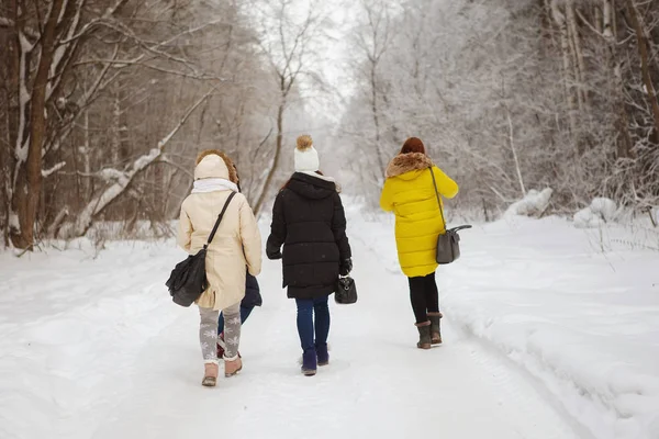 雪の森の中の4人の若い、かわいい女性. — ストック写真
