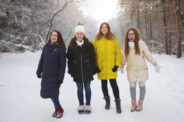 Чотири молодих, красивих жінок у засніженому лісі . — стокове фото