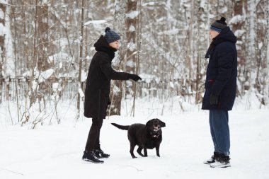 Erkek ve çocuk kışın siyah labrador av köpeğiyle eğleniyor.