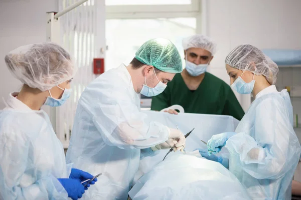 Equipo de cirujanos haciendo cirugía — Foto de Stock