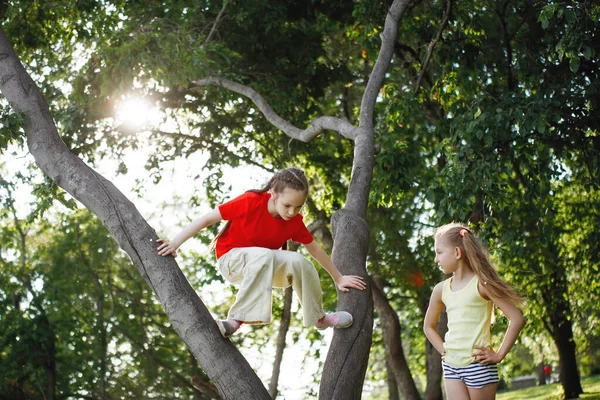 Twee tienermeisjes klimmen in bomen, lachen en lachen. — Stockfoto