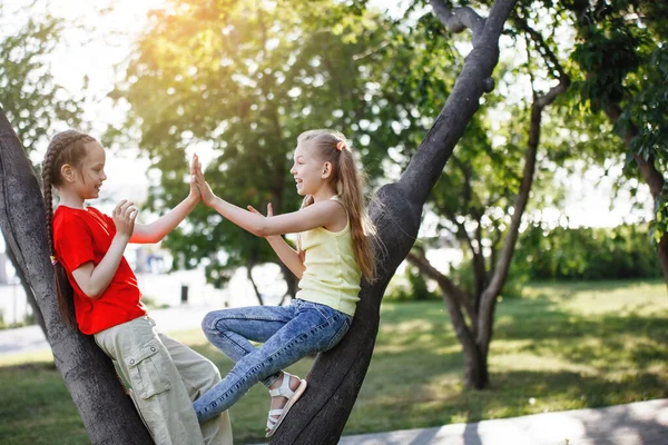 Two teen girls climb trees, smile and laugh.