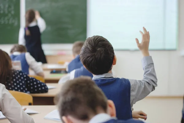 Schoolchildren in the classroom at the lesson.