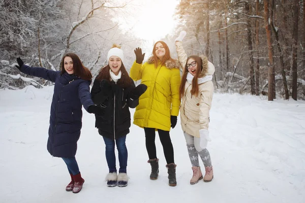 Cuatro mujeres jóvenes y bonitas en un bosque nevado . — Foto de Stock