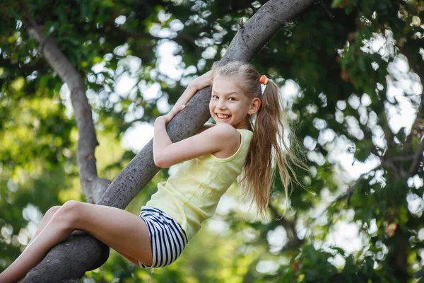 İki genç kız ağaca tırmanıyor, gülümsüyor ve gülüyor.. — Stok fotoğraf