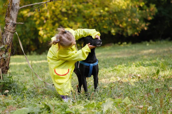 Menina em uma capa amarela com um cão . — Fotografia de Stock