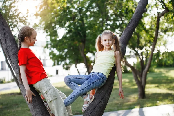 Twee tienermeisjes klimmen in bomen, lachen en lachen. — Stockfoto