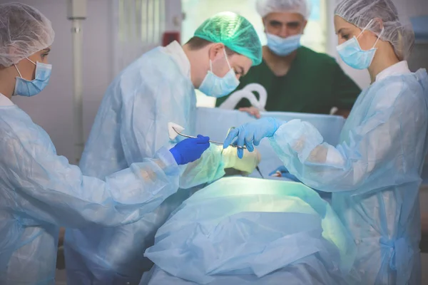 Team of surgeons doing surgery — Stock Photo, Image