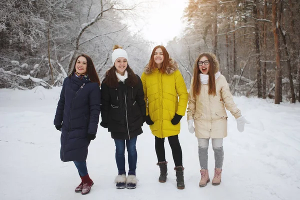 Fyra unga, vackra kvinnor i en snöig skog. — Stockfoto