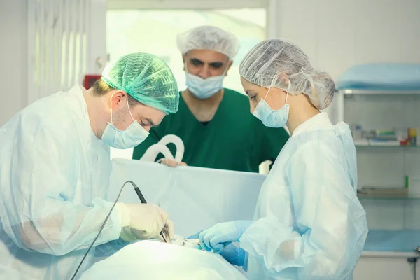 Equipo de cirujanos haciendo cirugía — Foto de Stock