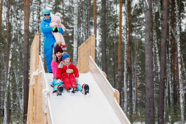 Family slide down an icy wooden hill on a snowy day. Father, mother, son and daughter emotionally laughs and rejoices in the winter outdoors. Bright clothes, high mountain, pine forest.