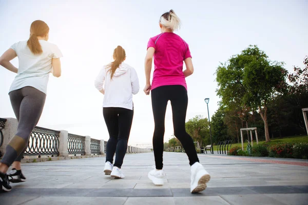 三名身穿运动服的妇女正沿着城市公园的小巷奔跑 从下面看 背景色 — 图库照片