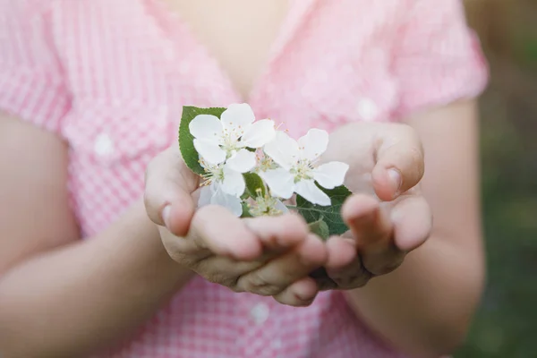 Girl holds flowers of apple tree in her hands. Selective focus, blur background.