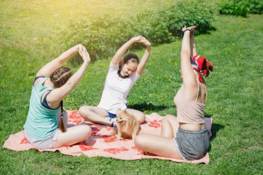 Yeşil çimenler üzerinde yoga dersleri. Üç kız çimenlikteki yatak örtüsünde oturuyor. Seçici Odaklanma.
