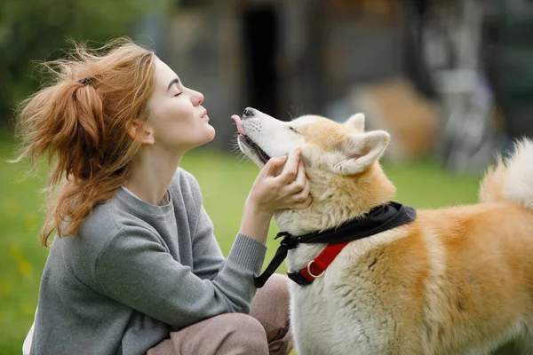 Girl Long Hair Kisses Akita Inu Dog Green Lawn Selective — Stock Photo, Image