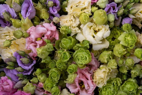 Лізіантус Квіти Різних Кольорів Фон Еустоми Великої Квітки Концепція Весняної — стокове фото