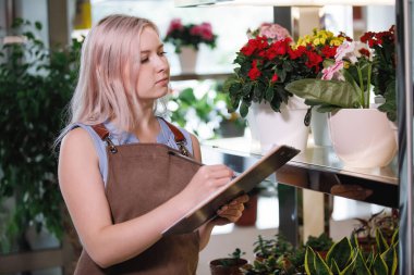 Çiçekçinin atölyesinde önlüklü sarışın kadın. Seçici odak.
