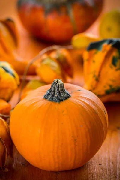 Ação Graças Abóboras Halloween Ainda Vida — Fotografia de Stock